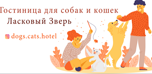 Гостиница для собак и кошек в Минске Ласковый зверь