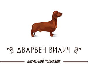 Питомник собак в Беларуси ДВАРВЕН ВИЛИЧ