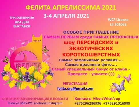3-4 апреля 2021г ВЫСТАВКА КОШЕК В МИНСКЕ